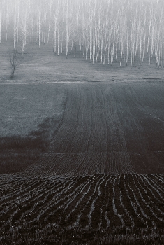 März / ***