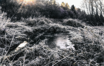 Rime. / ***