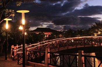 Südliche Nacht / ***