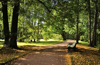 hell herbst / ***