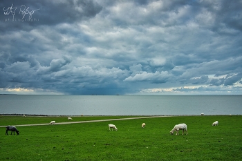 Ja, der Summer ist gegangen... / Herbstanfang an der Nordsee.