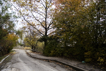 Weg / ***