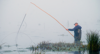 Fisherman. / ***