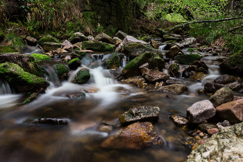 Bachlauf / irgendwo im Schwarzwald