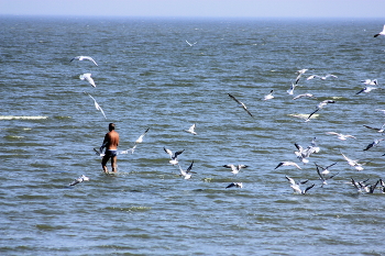Meer / ***