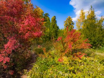 Herbst / ***