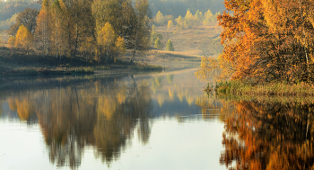 Goldener Herbst / ***