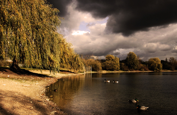 Auf dem See / ***