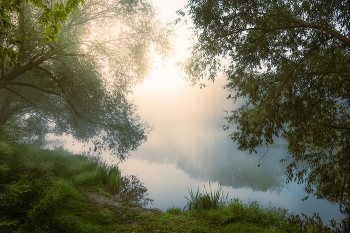 Morgennebel / ***