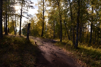 Herbst Wanderung / ***