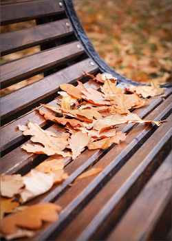 Herbst Skizze ... / ***