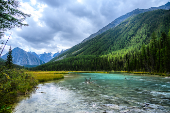 Altai / ***