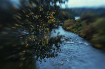 Leben rund um / ***