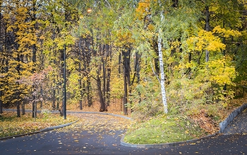 Im Herbst des Parks ... / ***