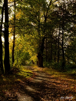 Weg / ***