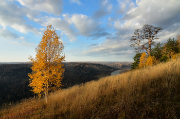 Herbstlandschaft / ***