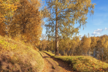 Herbst / ***