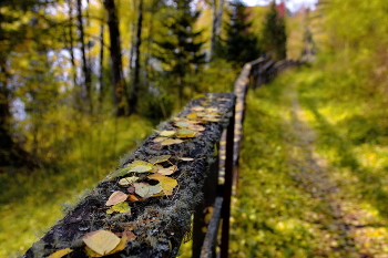 Die Rhythmen des Herbstes. / ***