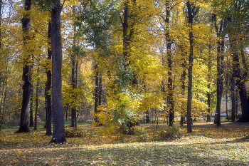 Herbst / ***