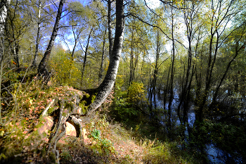 Am Rande / ***