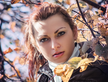 Herbst Herbst / ***