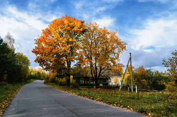 Herbst in der Ortschaft / ***