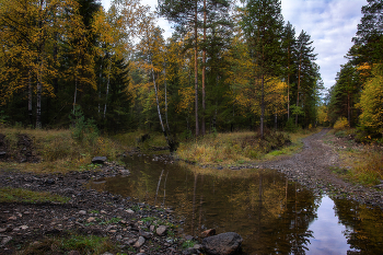 Herbst Natur / ***