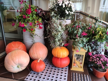 Herbst / ***
