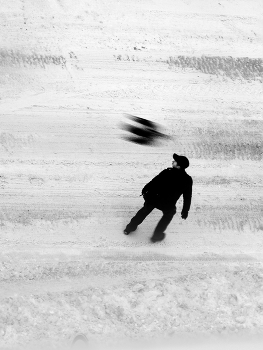 Vogel / ***