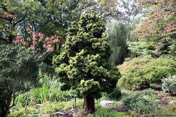 Im Stadtpark / ***