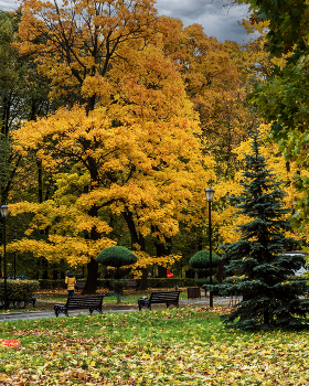 im Park / ***