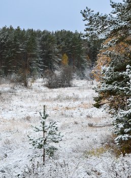 Der erste Schnee / ....