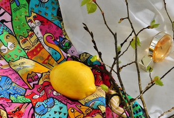 Still Life / ***