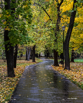 Park / ***