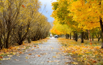 Autumn Leben / ***