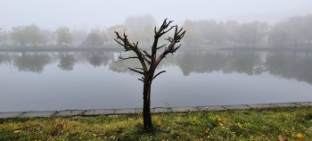 Im Herbst letzten Jahres ... / ***