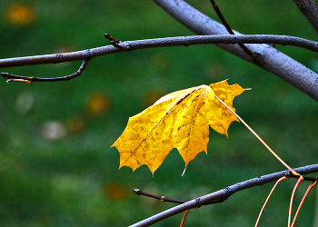 Oktober ... / ***