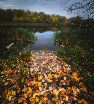 Autumn etude / ***
