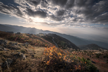 Autumn Colors On Gomis Mta / ***