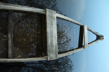 Vorwärts / ***