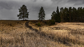 Fast Winter / ***