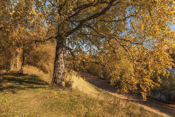 Goldener Herbst / ***