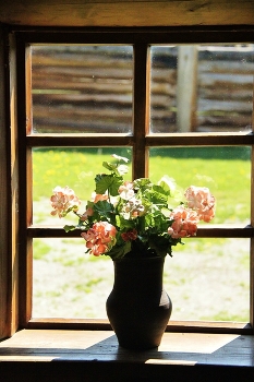 Im Dorf / ***