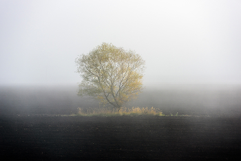 Licht des Herbstes / ***