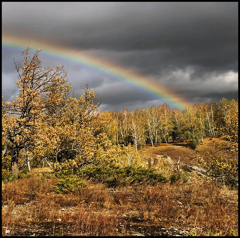 Regenbogen / ***
