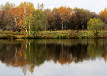 Goldener Herbst / ***