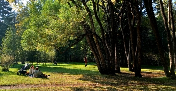im Park / ***