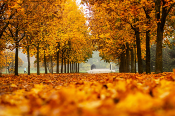 Herbst-Outfit / ***