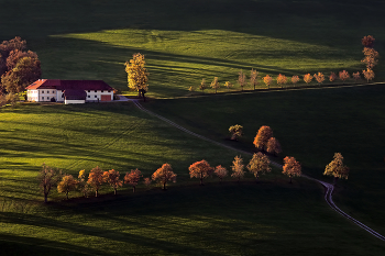  / Obstbäume im Herbst