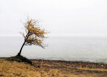Autumn Minimalismus / ###